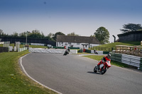 Middle Group Red Bikes